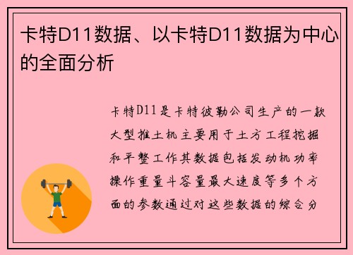 卡特D11数据、以卡特D11数据为中心的全面分析